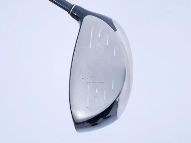 Driver : XXIO : ไดรเวอร์ XXIO Impact Power Body Loft 12 Flex R