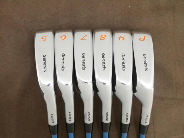 Iron set : Miura : ชุดเหล็ก Miura PP-9005 Genesis Forged (นุ่มมาก ไกล ง่าย) มีเหล็ก 5-Pw (6 ชิ้น) ก้านเหล็ก True Temper ALLOY BLUE R300